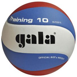 Мяч волейбольный Gala Training 10